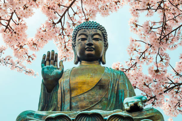 Buddha Image